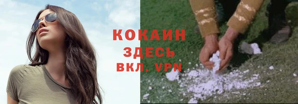 эйфоретик Алексин