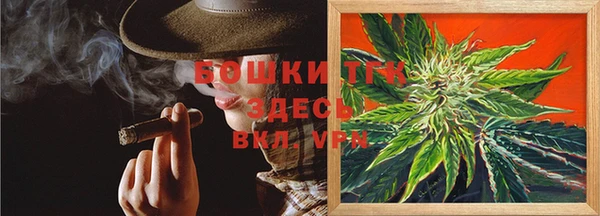 трава Арсеньев