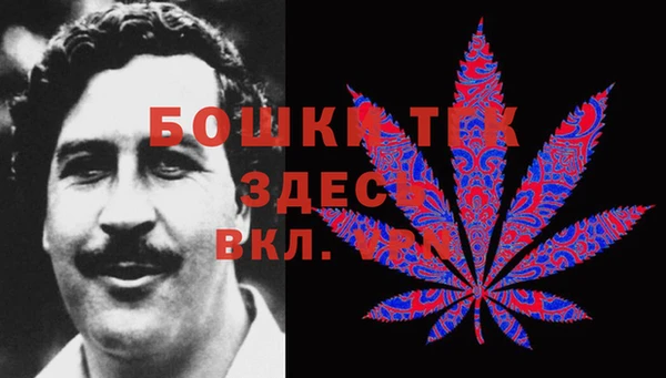 дмт Алексеевка