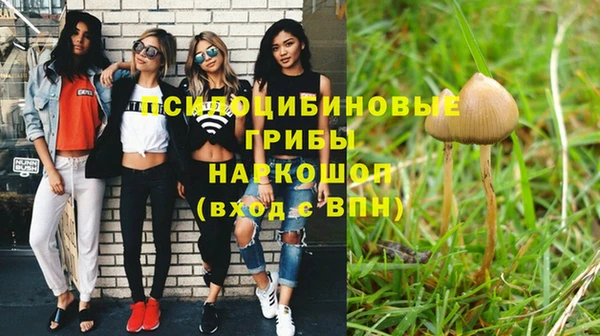 каннабис Алзамай